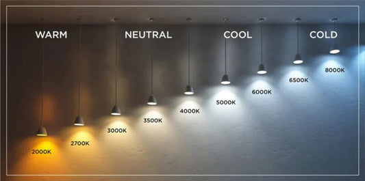 Warm Light vs Cool Light: Which One Sets the Right Mood?