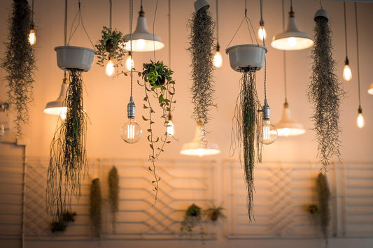 7 Cozy Lamp Styling Tips for a Relaxing Home