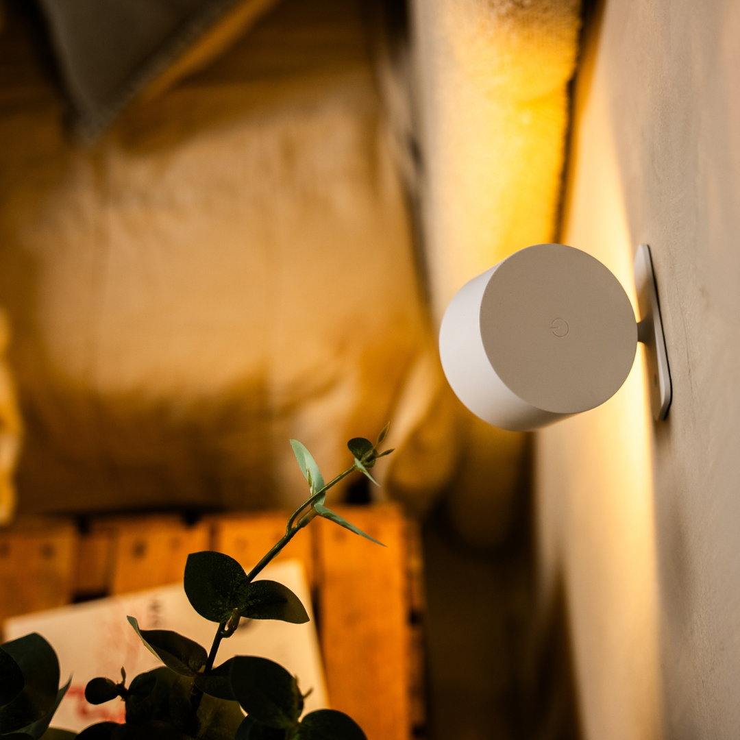 A modern white wall lamp emits warm light, illuminating a green plant in a cozy room with soft textures and earthy tones.